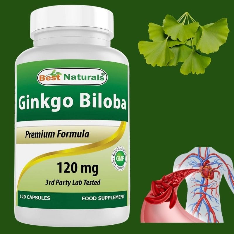 გინკგო ბილობა (Ginkgo Biloba) – მეხსიერებისა და სისხლის მიმოქცევის ბუნებრივი მხარდაჭერა | Ginkgo Biloba – Natural Memory & Circulation Support | ამერიკული მწვანე აფთიაქი