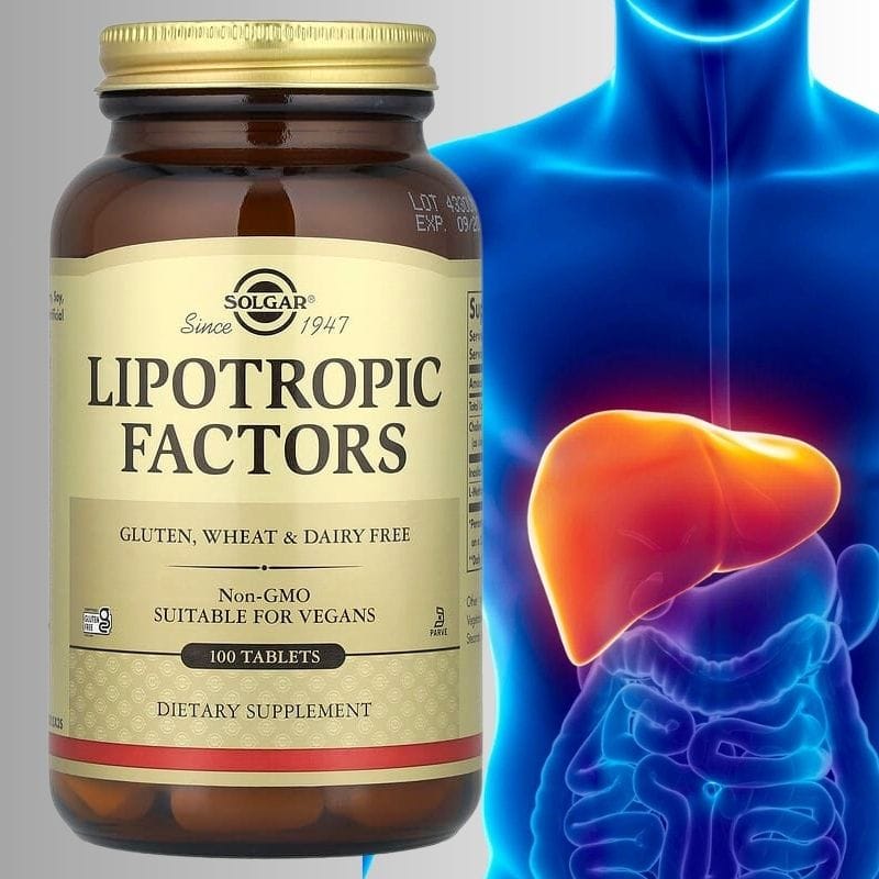 ლიპოტროპული ფაქტორი – Lipotropic Factors – მეხსიერებისა და ტვინის ფუნქციის მხარდასაჭერი | ამერიკული მწვანე აფთიაქი